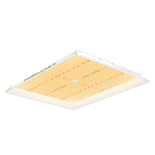 Mars Hydro TSW 2000 300W Dimmable Full Spectrum LED Grow Light