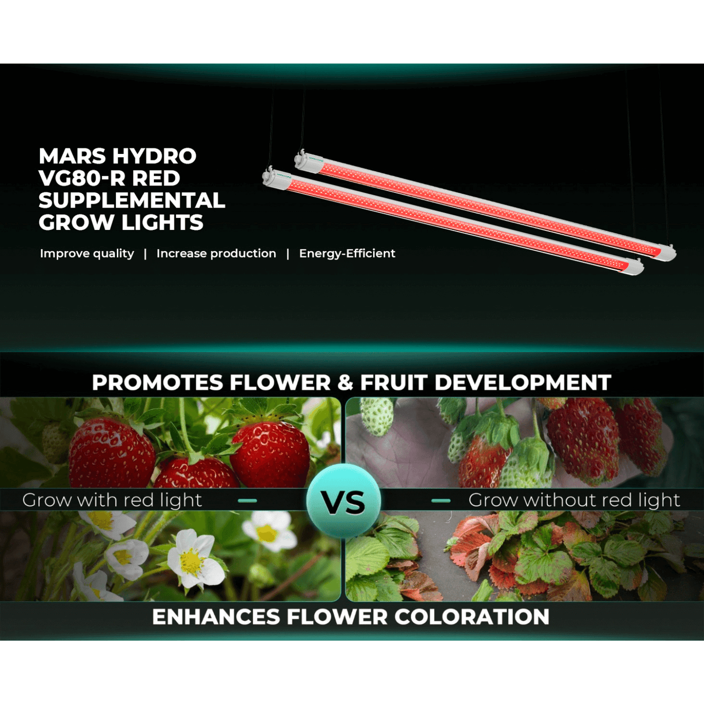 Mars Hydro VG80-R red LED grow lights promoting flower and fruit development, highlighting energy efficiency and quality increase.
