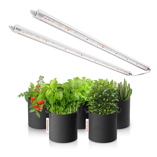 Spider Farmer Glow80 80W Full Spectrum LED Grow Light