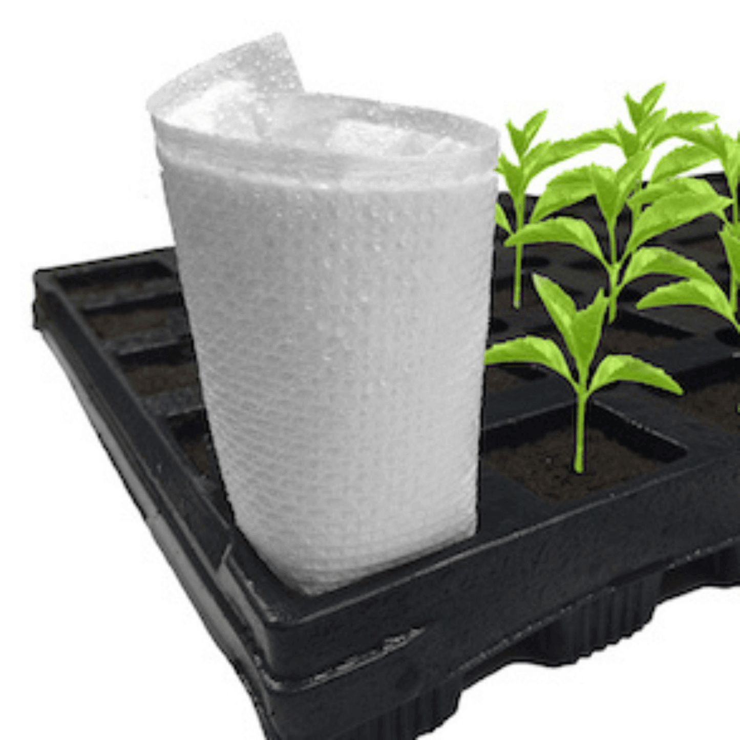 EZ CO2 Pads with seedling tray enhancing plant growth and root health in greenhouse settings.