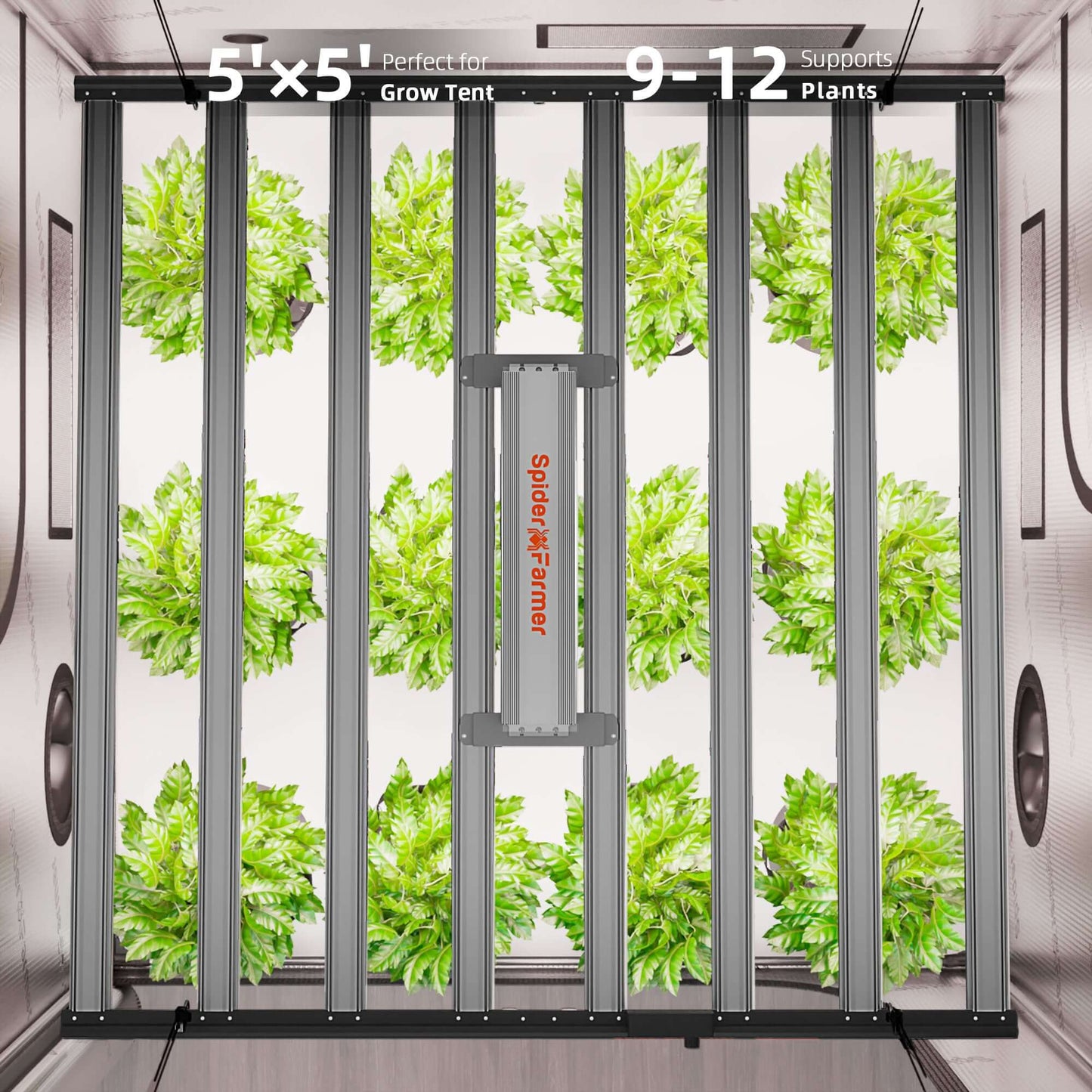 Interior view of a 5'x5' Spider Farmer grow tent supporting 9-12 plants with lush green foliage.