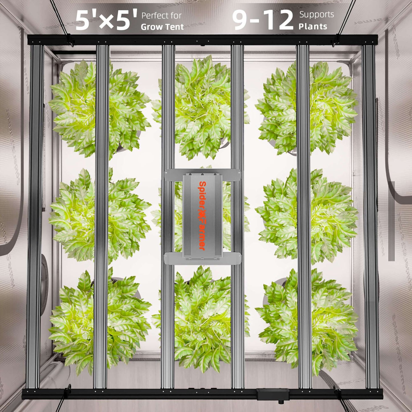 Spider Farmer 5x5 grow tent with healthy plants, designed to support 9-12 plants for optimal growth.