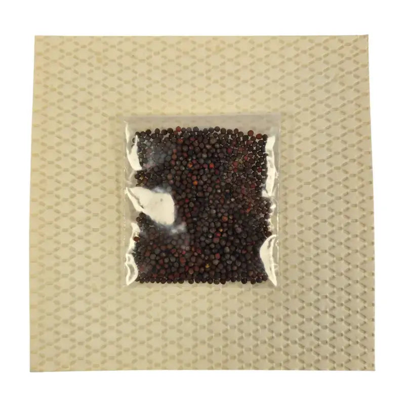 Aquager Technologies Wheatgrass product image 3
