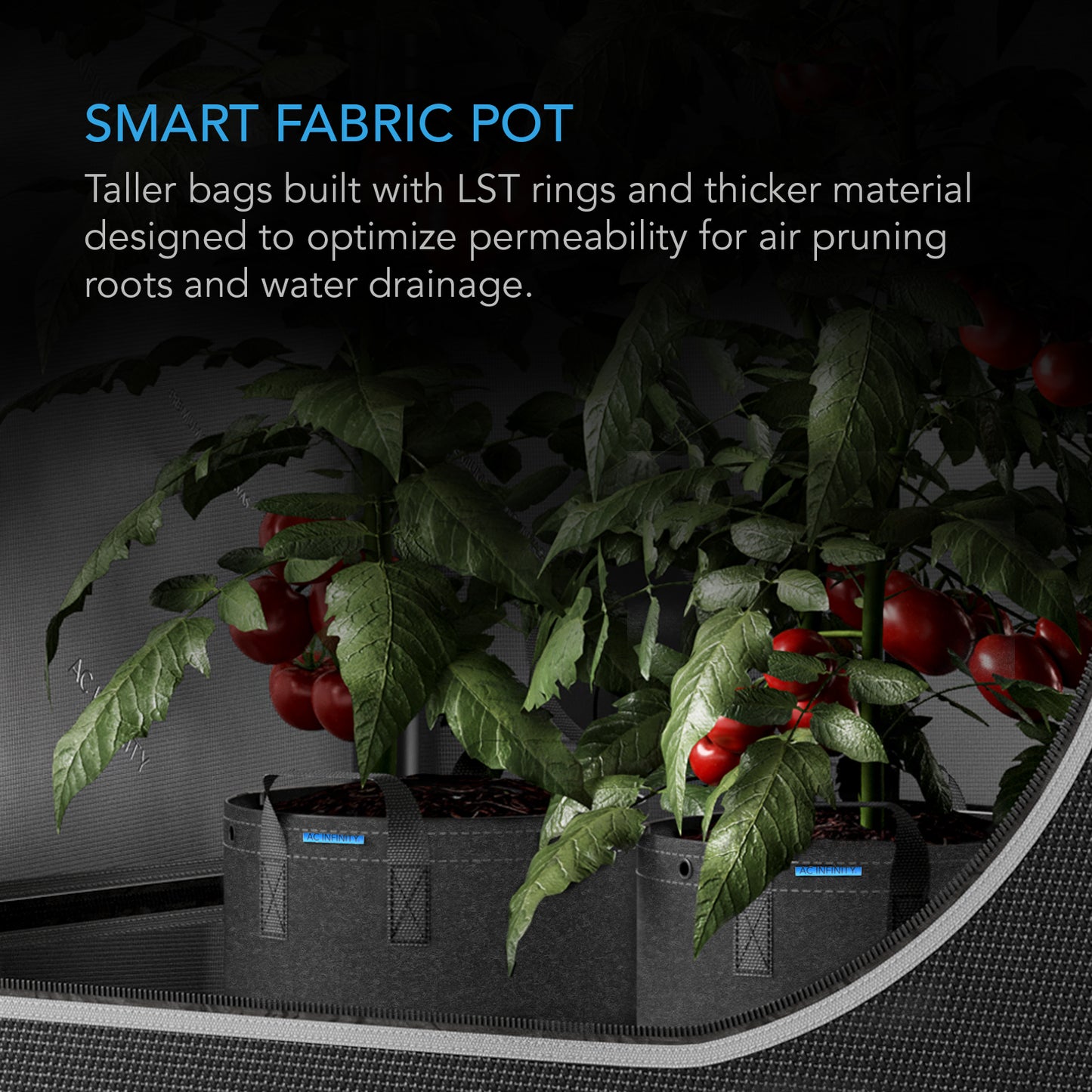 AC Infinity Heavy Duty Fabric Pots 3 Gallon 5-Pack product image 2