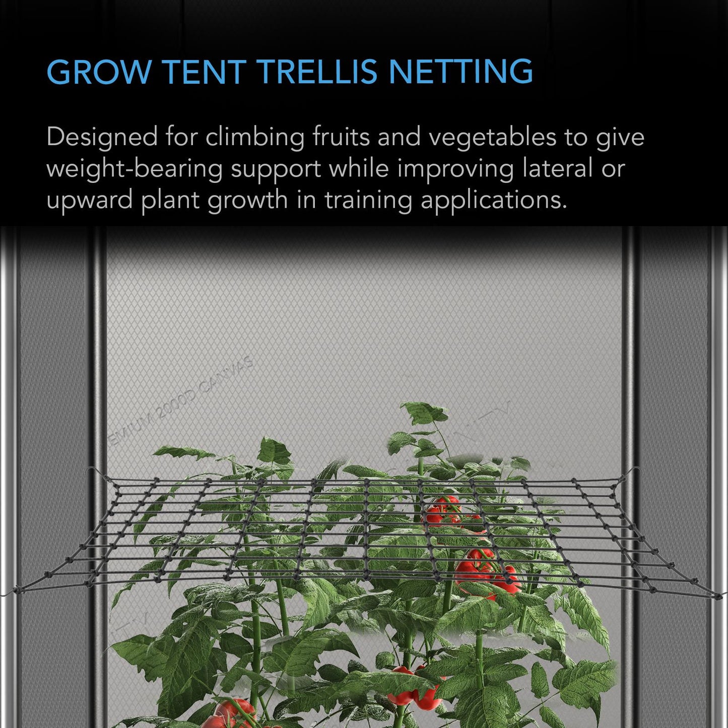 AC Infinity Grow Tent Trellis Netting Flexible Elastic Cords 5x5' product image 2