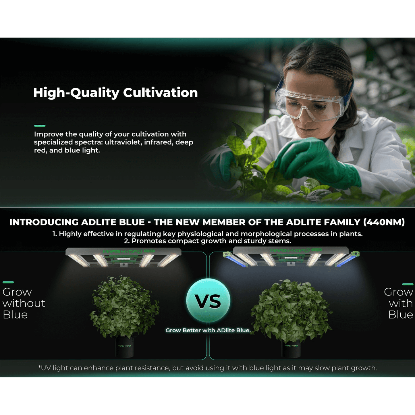 Infographic comparing plant growth with and without ADlite Blue light, emphasizing improved morphology and stronger stems.