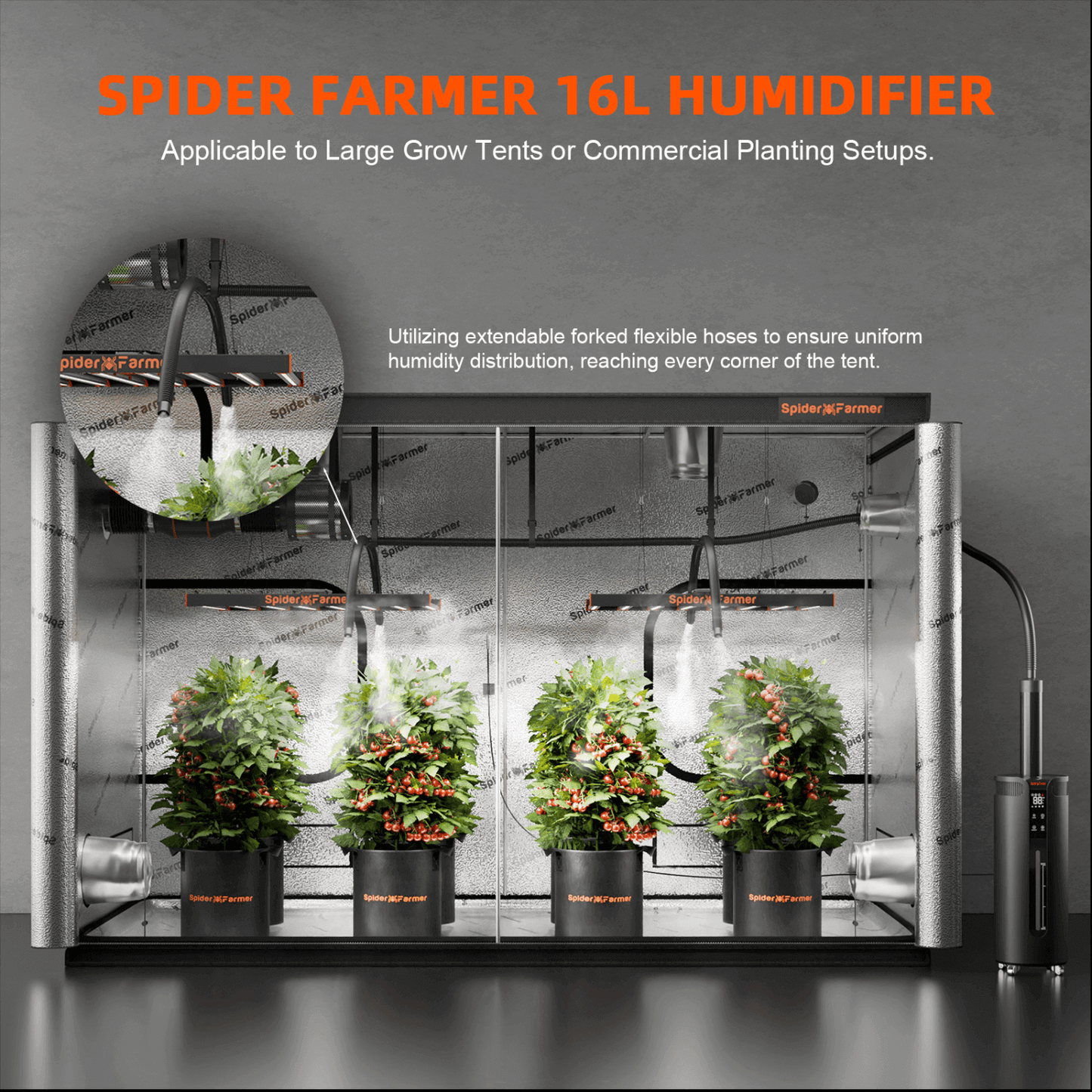 Spider Farmer 16L humidifier setup for large grow tents, ensuring optimal humidity for commercial plant cultivation.