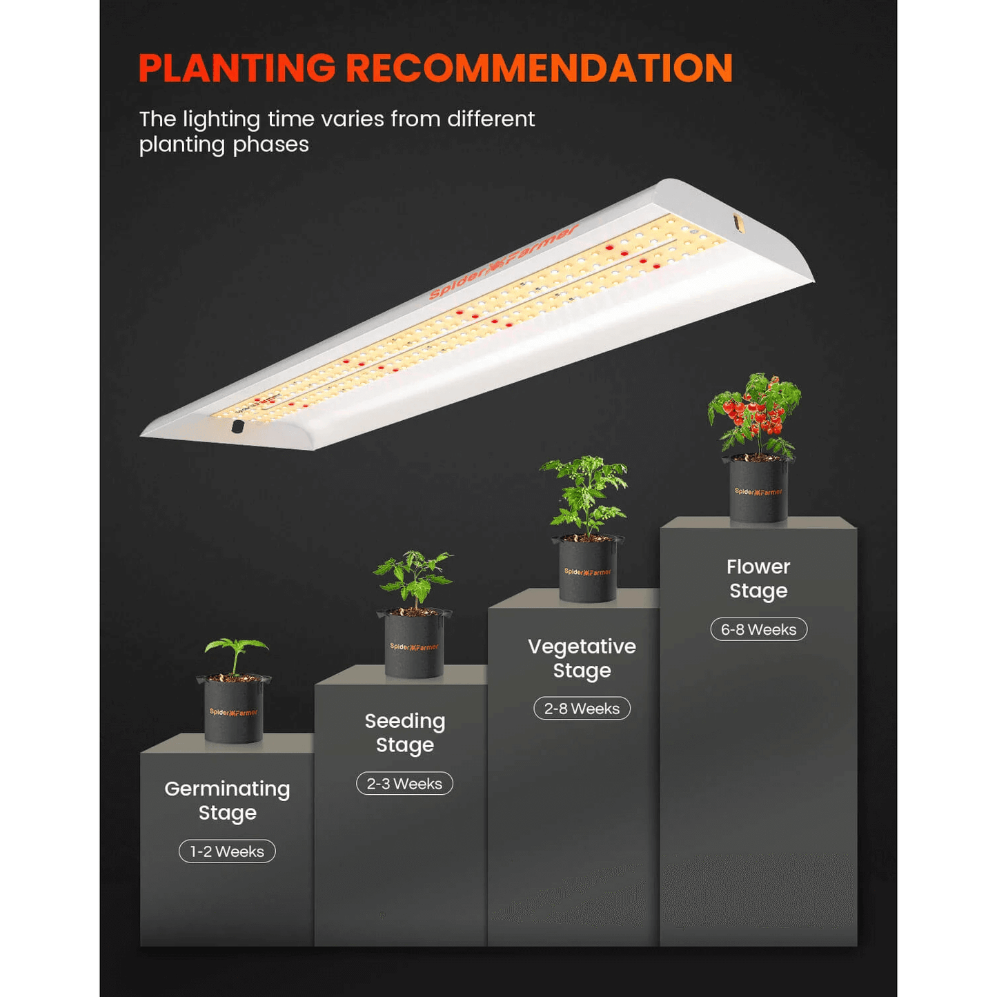 Spider Farmer SF300 33W LED Veg Grow Light