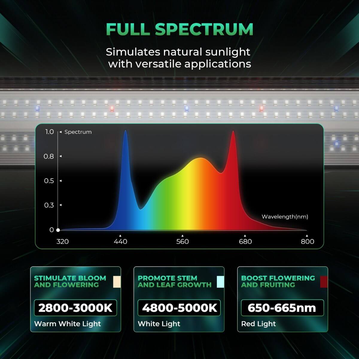 Diagram showing full spectrum LED light wavelengths for plant growth, highlighting blooming and leaf growth ranges.