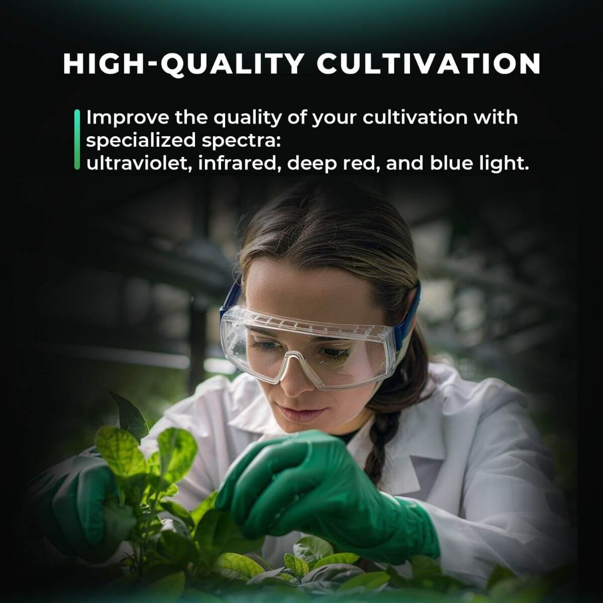 Woman in lab coat tending to plants, showcasing high-quality cultivation using specialized light spectra.