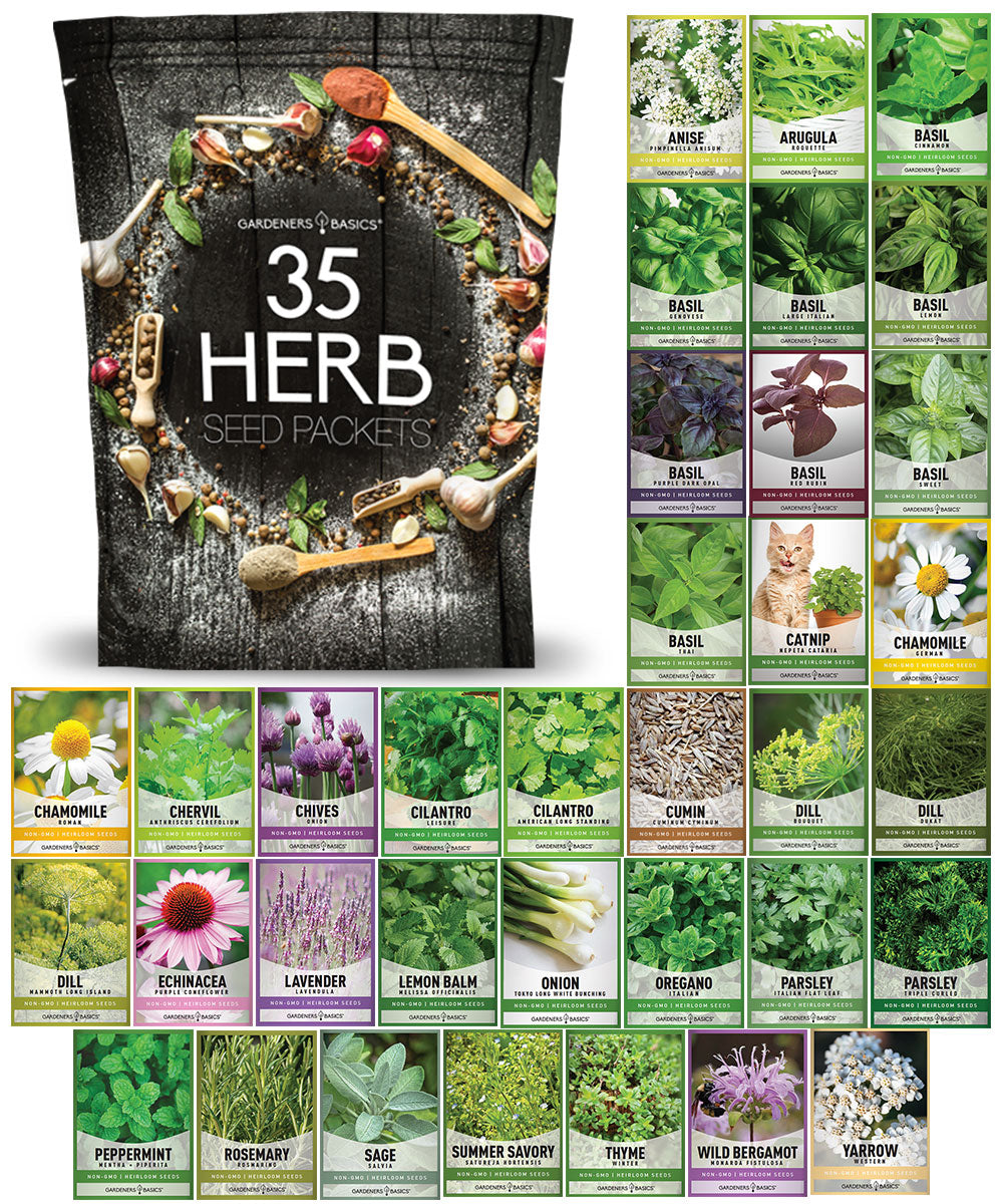 Gardeners Basics Popular Herb Seeds for Planting | 35 Variety Pack