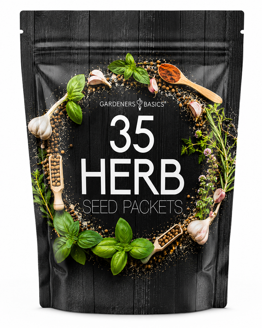 Gardeners Basics Popular Herb Seeds for Planting | 35 Variety Pack
