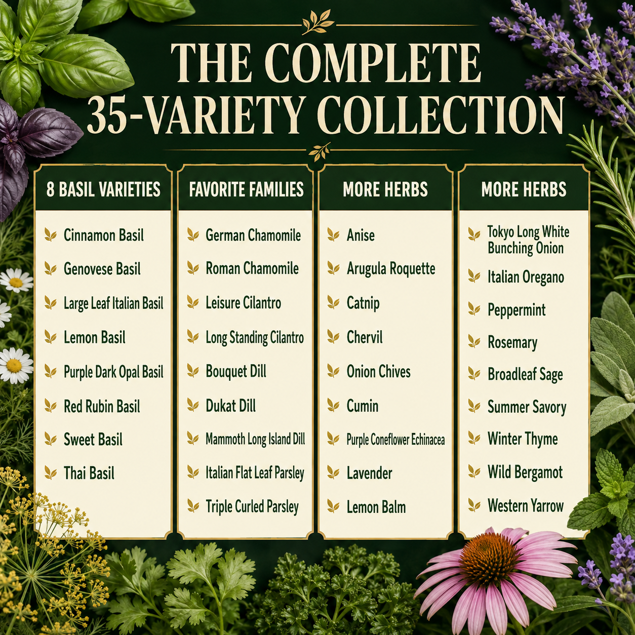 Gardeners Basics Popular Herb Seeds for Planting | 35 Variety Pack