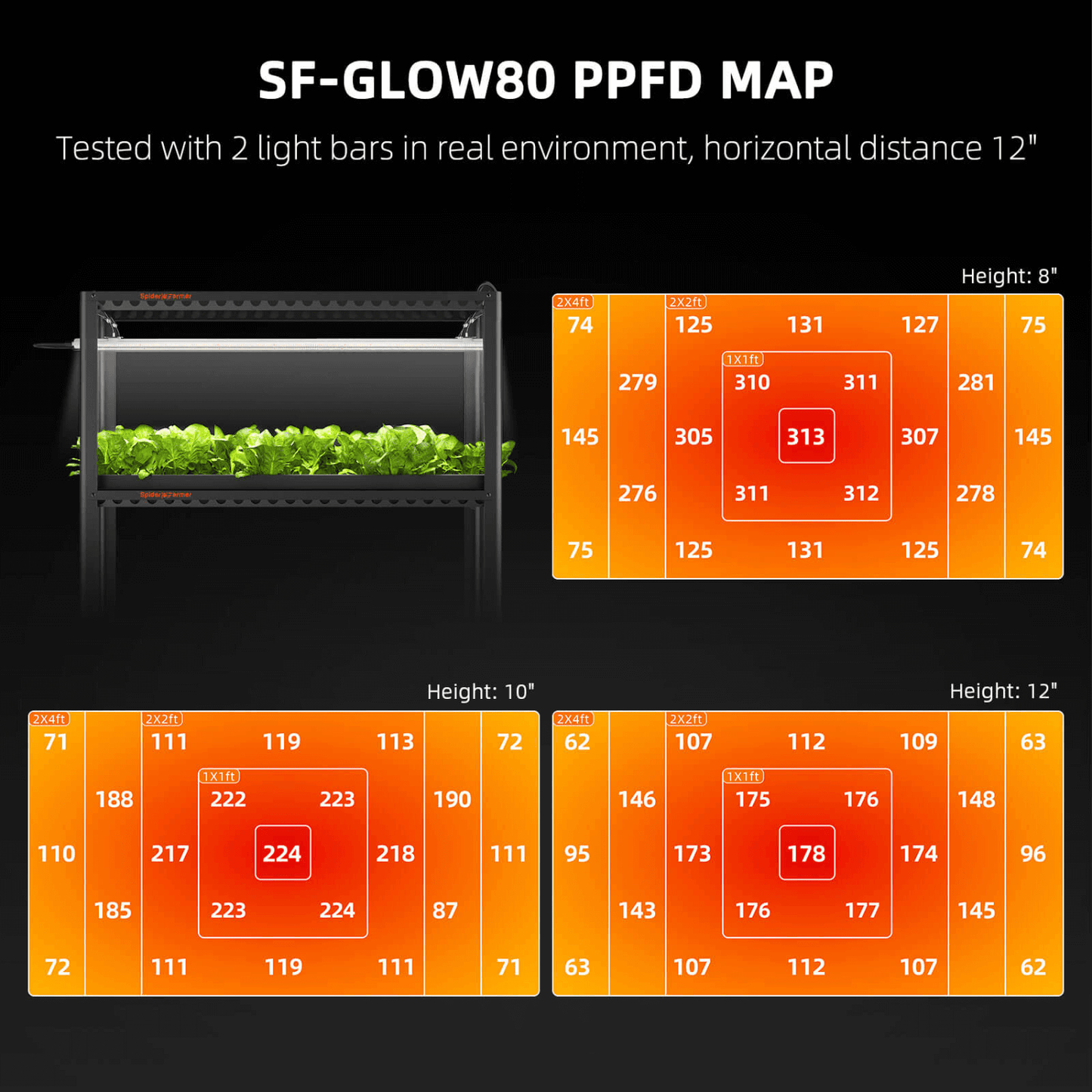 SF-GLOW80 PPFD map showcasing light distribution at various heights with 2 light bars, distance 12 inches for Spider Farmer Glow80.