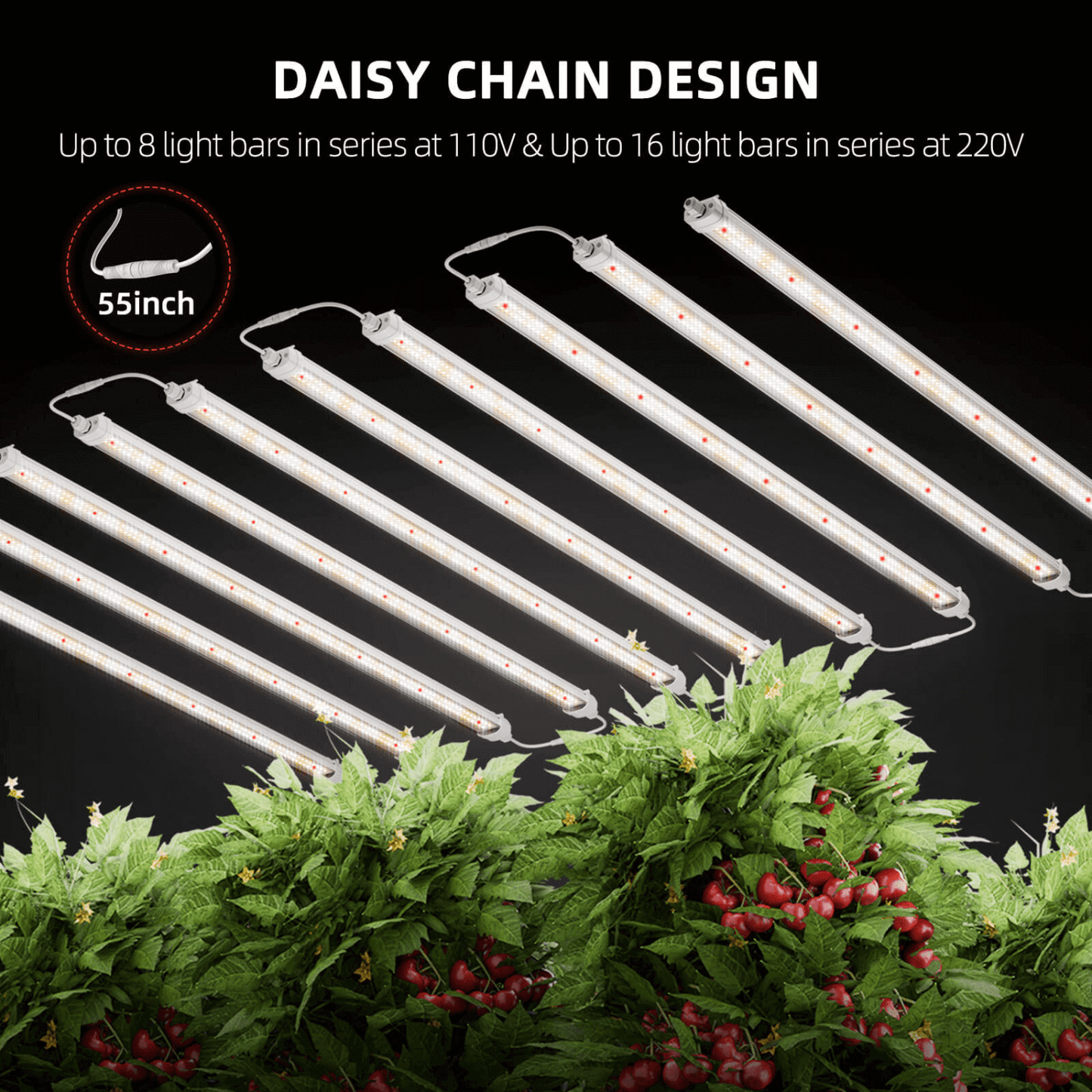 Spider Farmer Glow80 LED Grow Light with Daisy Chain Design Above Lush Green Plants