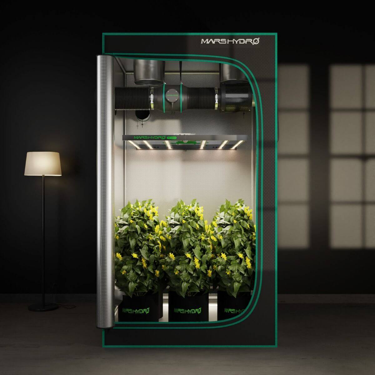 Mars Hydro grow tent setup showcasing plants with a 6" inline duct fan and carbon filter for optimal ventilation.