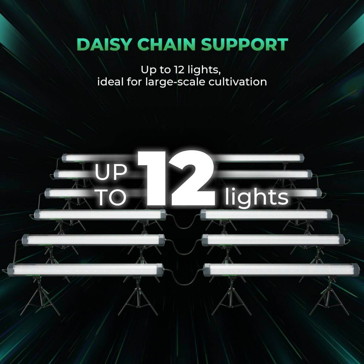 Daisy chain support for up to 12 lights, ideal for large-scale indoor cultivation setups.