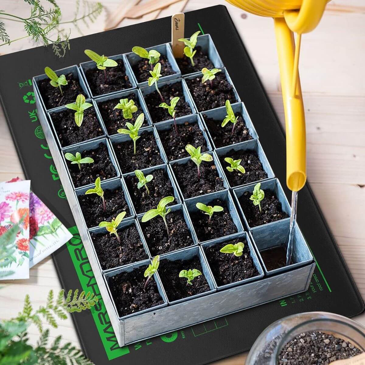 Seedling heat mat with a tray of young seedlings, illustrating effective seed starting and propagation.