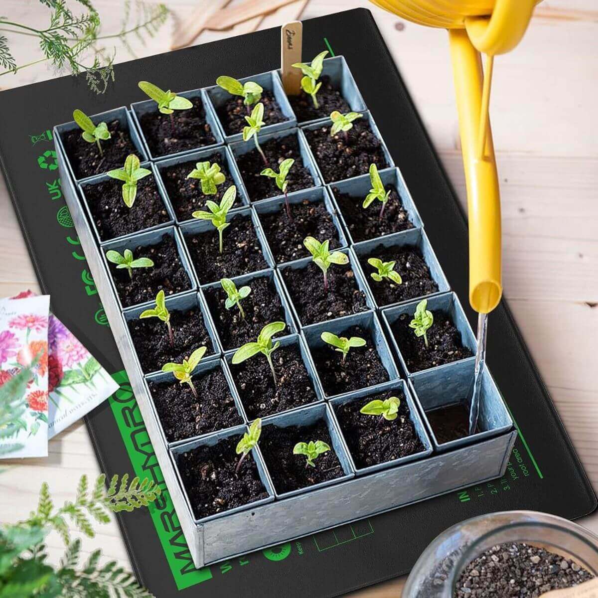 Seedling heat mat with a tray of young seedlings, illustrating effective seed starting and propagation.