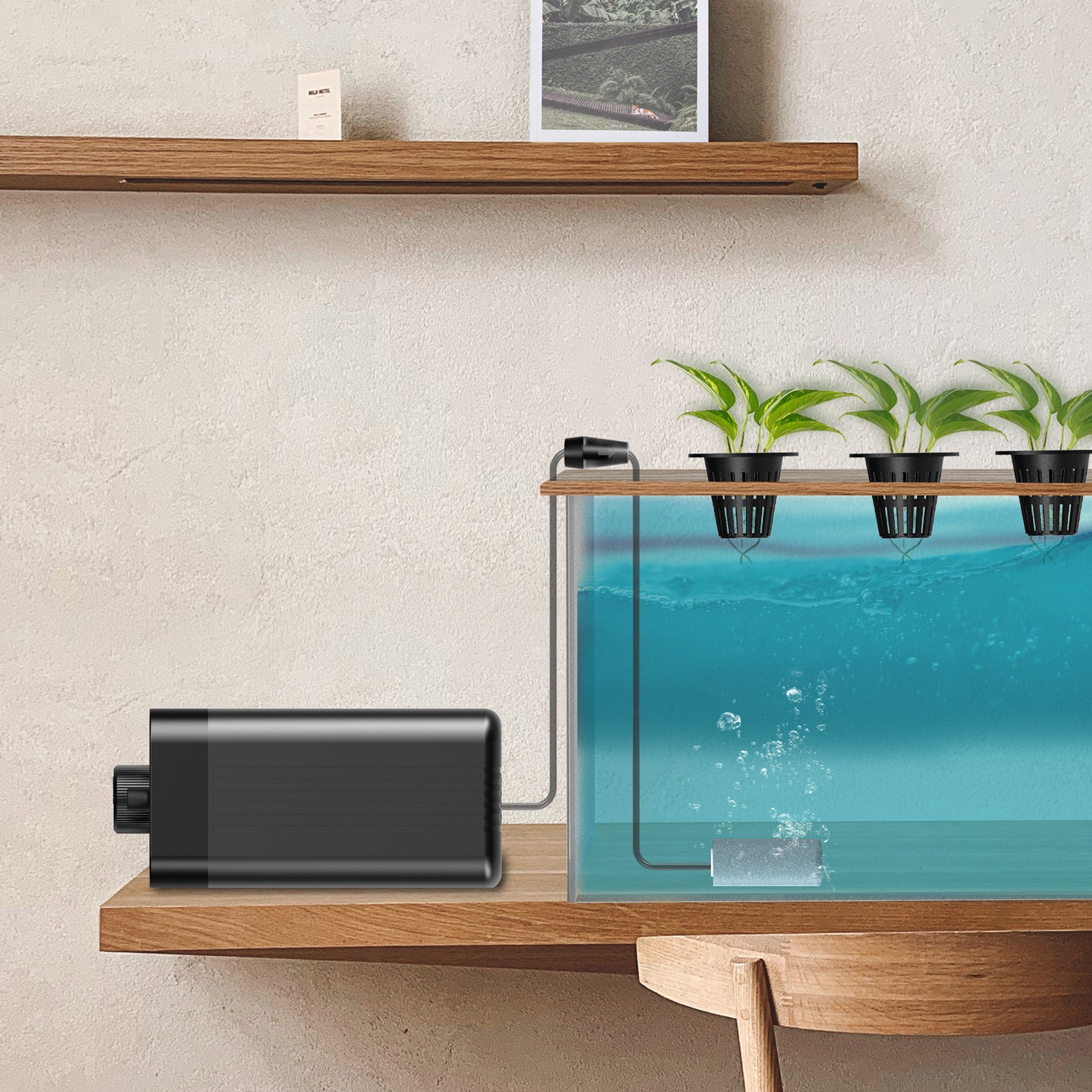 AC Infinity Hydroponics Air Pump One-Outlet Pumping Kit 24 GPH (1.5 product image 7