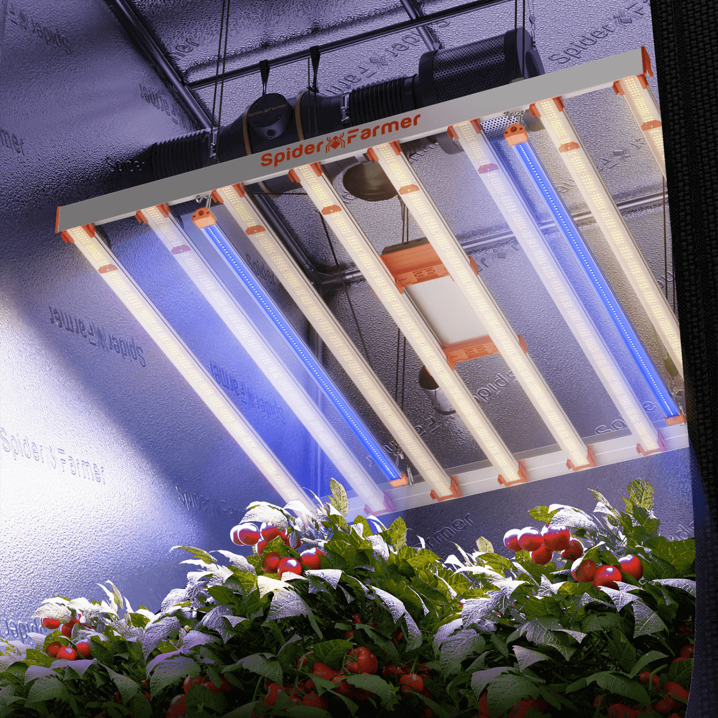 Spider Farmer UV60 365nm Supplemental UV LED Grow Light Bars SPIDER-SUPP-UV60 Grow Lights