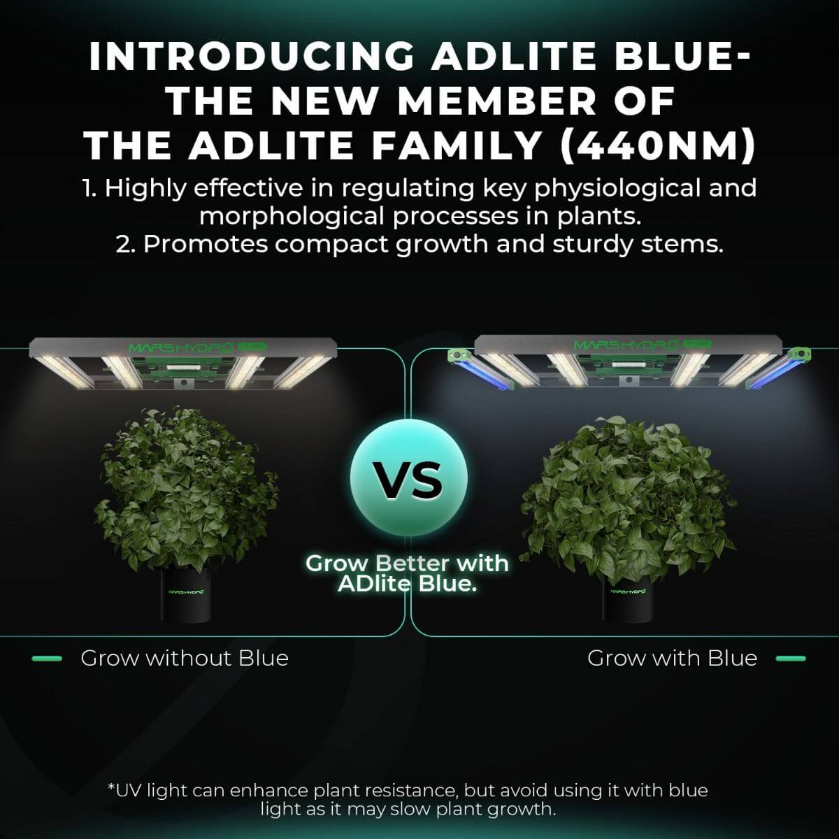Comparison image showing benefits of ADlite Blue 30 LED grow lights for plant growth and morphology.