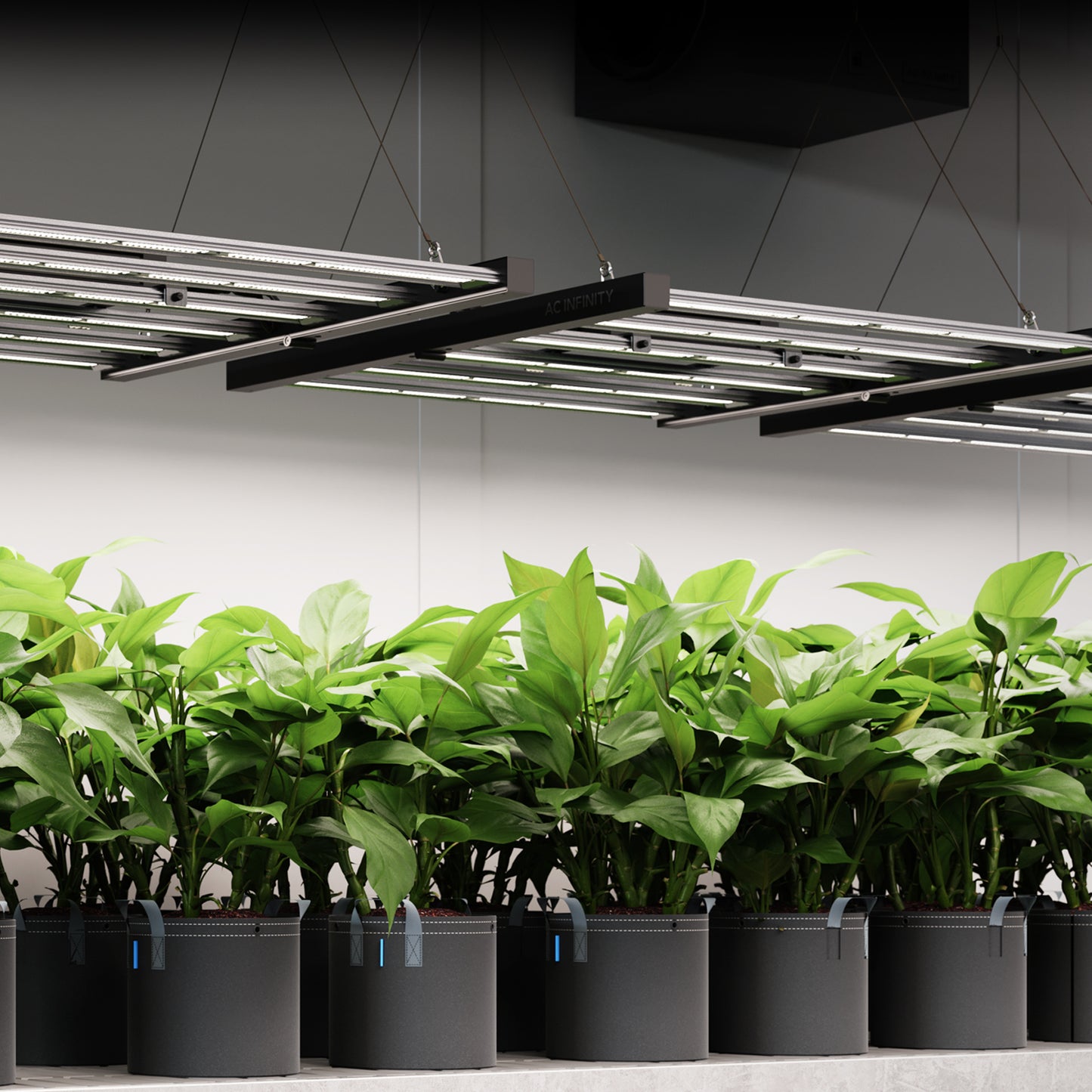 AC Infinity IONFRAME EVO3 280W Samsung LM301H EVO Commercial LED Light product image 8