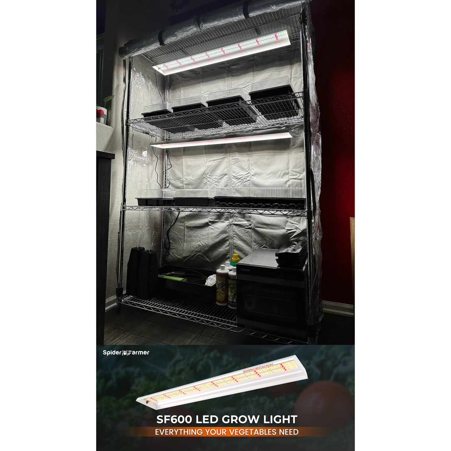Spider Farmer SF600 74W LED Veg Grow Light product image 8