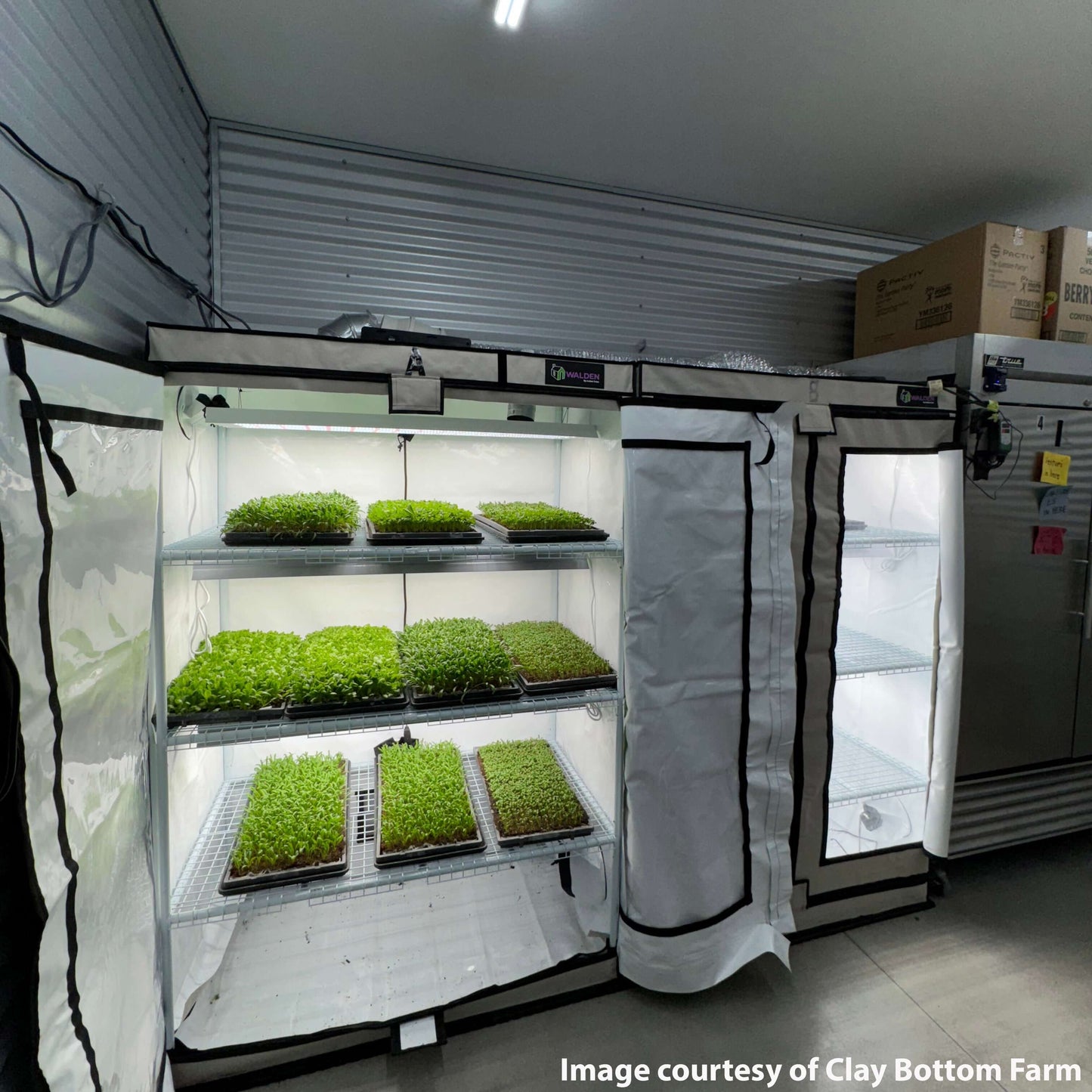 Active Grow Microgreens & Herbs 3-Tier Walden White LED Grow Tent Kit