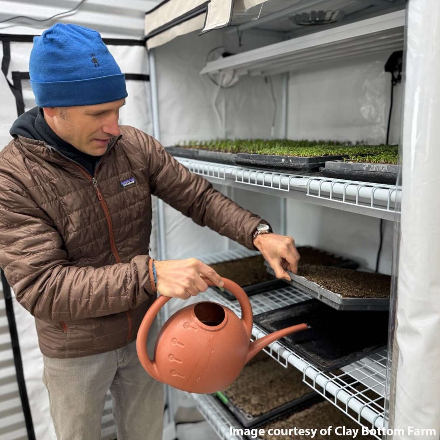 Man watering plants in a 3-tier LED grow tent, showcasing effective indoor gardening with adjustable shelves.