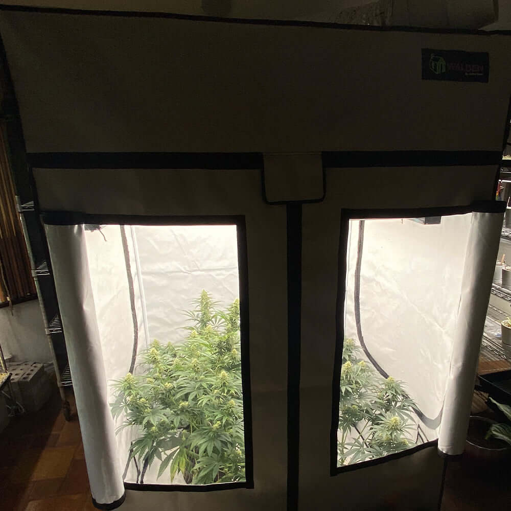 Active Grow 2'x4' Walden White Grow Tent