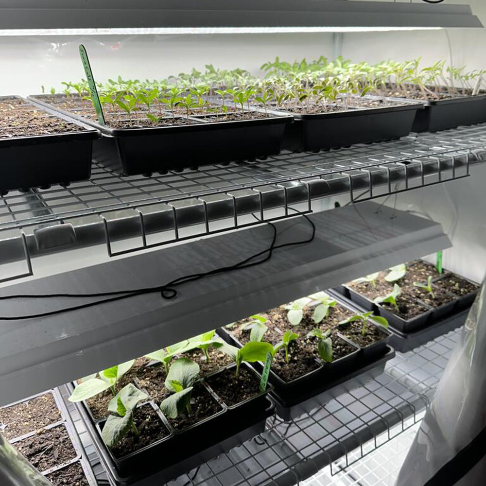 Active Grow Greens & Veggies 3-Tier Walden White LED Grow Tent Kit