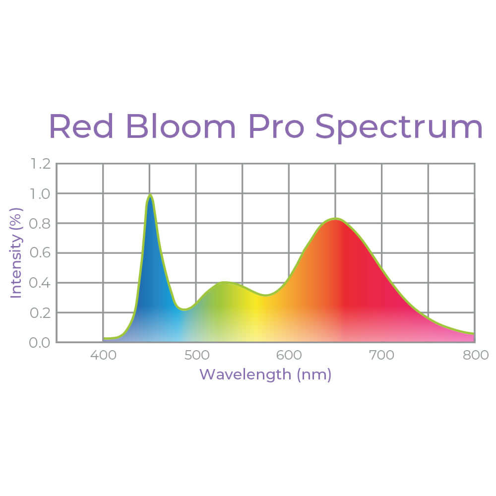 Graph of Red Bloom Pro Spectrum showing intensity of light wavelengths from 400 to 800 nm for plant growth.
