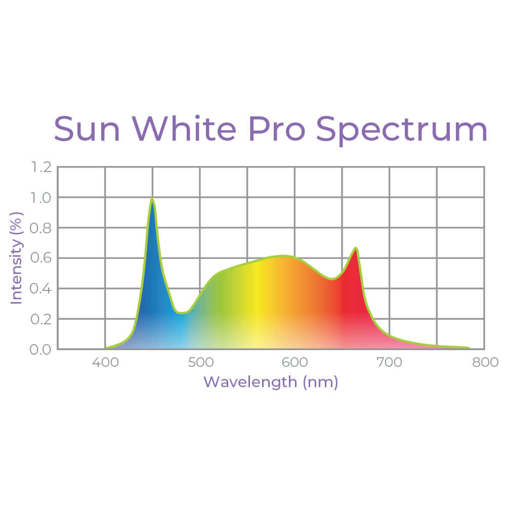 Graph of Sun White Pro Spectrum showing intensity percentage across wavelengths from 400 to 800 nm.