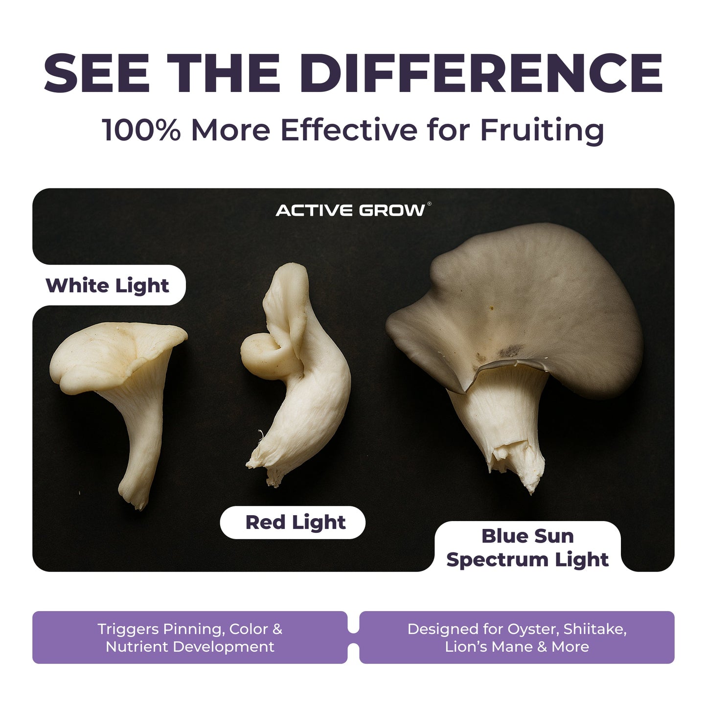 Active Grow Integrated Strip T5 4FT LED Mushroom Grow Light (54W Eqv.) - Blue Sun Spectrum