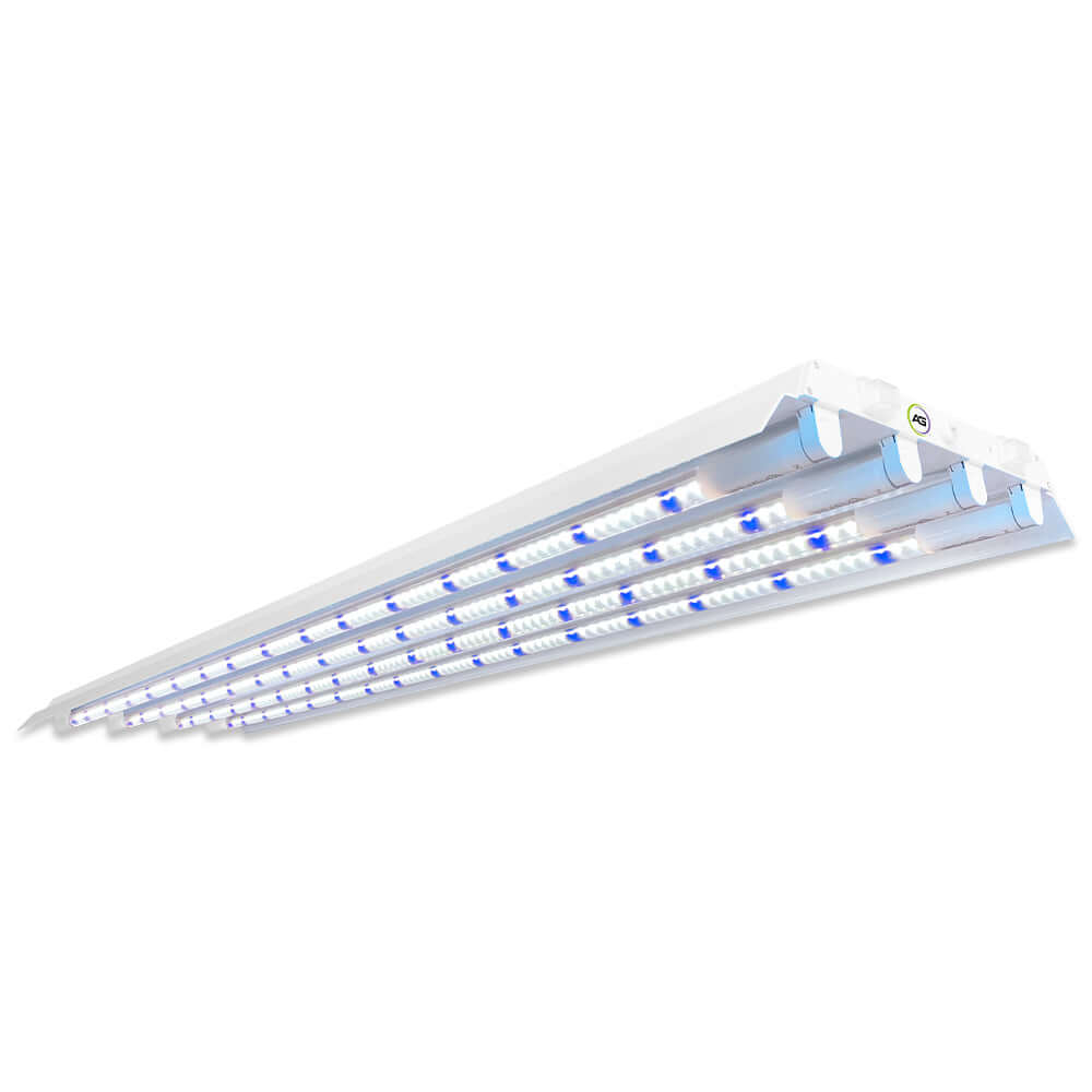 Active Grow T5 HO 2.0 4FT 4 Lamp LED Mushroom Grow Light with Blue Sun Spectrum for mushroom cultivation.