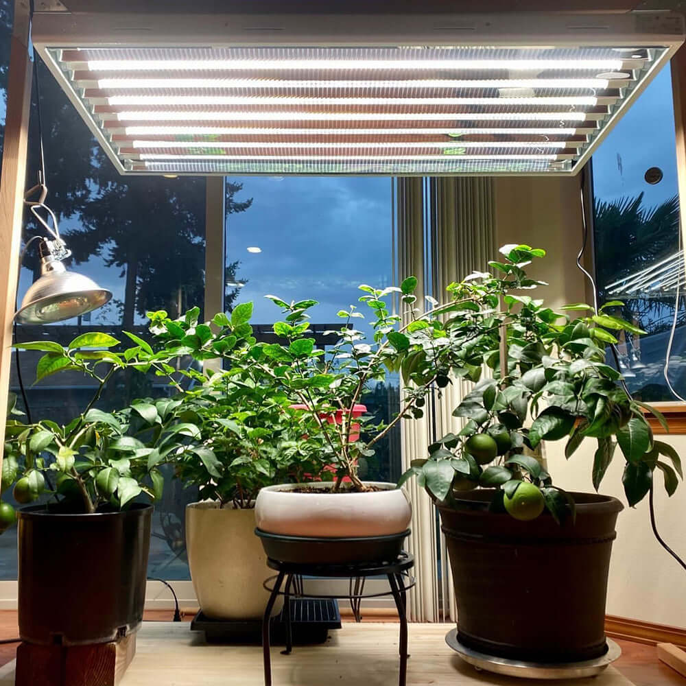 LED grow light illuminating various indoor plants in pots, showcasing healthy growth under optimal lighting conditions.