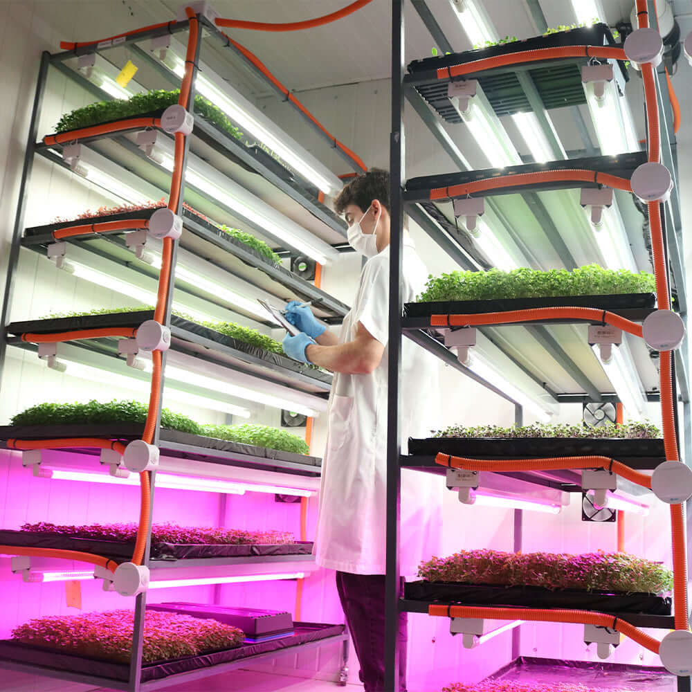 Person tending to seedlings under LED grow lights in a vertical gardening setup.