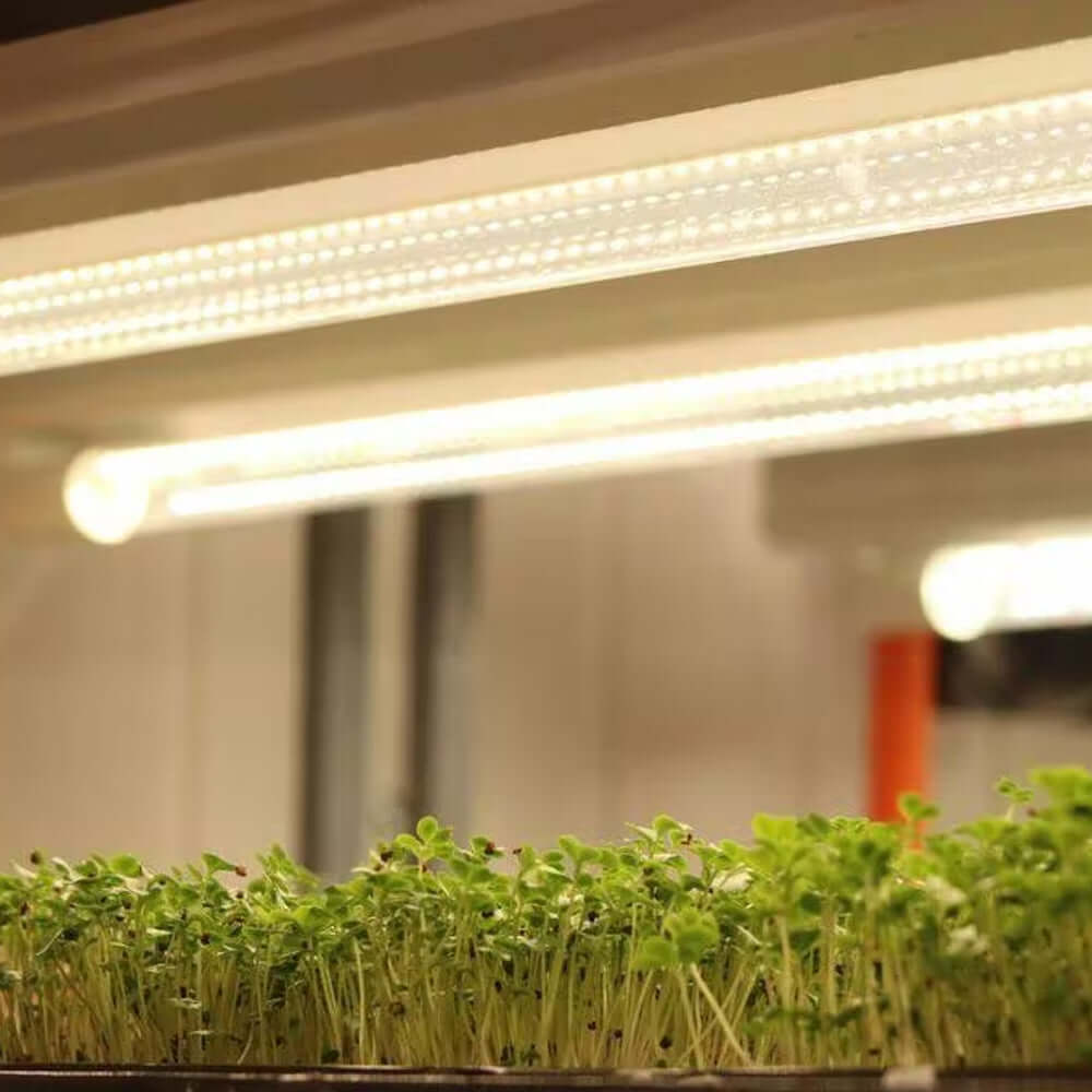 Active Grow T8 HO 4FT LED Grow Lamp illuminating microgreens in a vibrant indoor garden.
