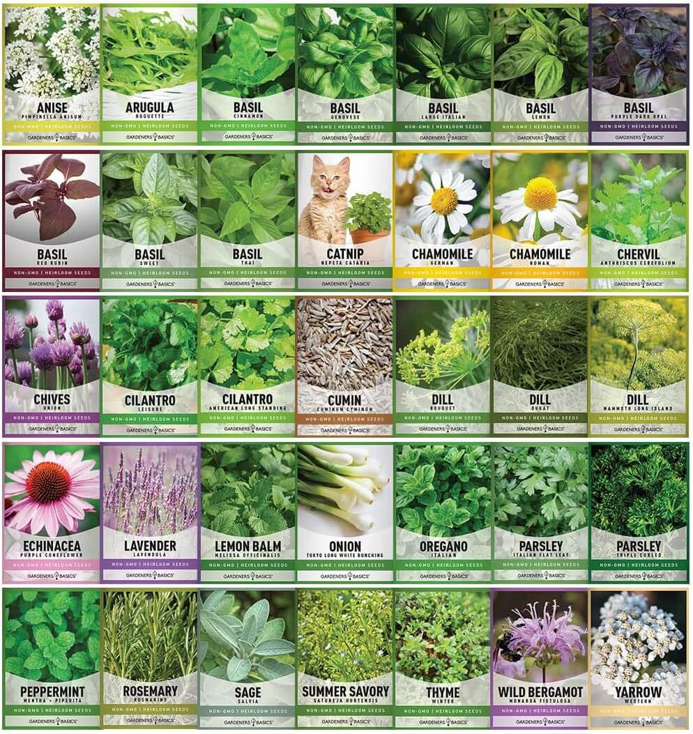 Gardeners Basics Gardeners Seed Vault Kit - 70 Varieties of Vegetable and Herb Seeds for Your Garden