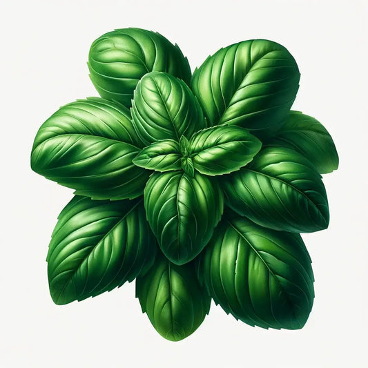 Aquager Technologies Basil (Genovese (Aroma 2)) (4x)