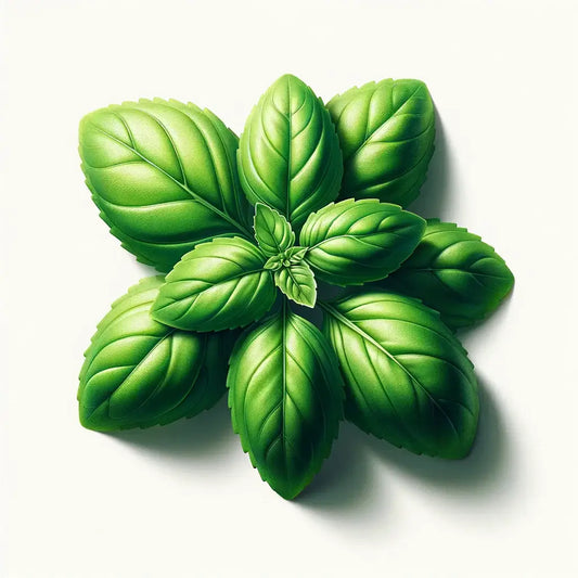 Aquager Technologies Basil (Lime) (4x)