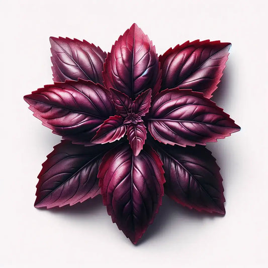 Aquager Technologies Basil (Red Rubin) (4x)
