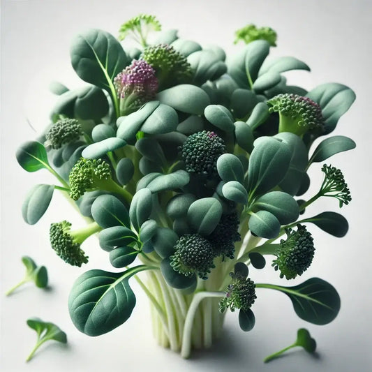 Aquager Technologies Broccoli
