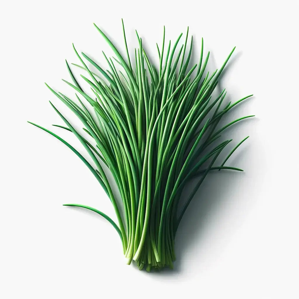 Aquager Technologies Chives (Staro) (4x)