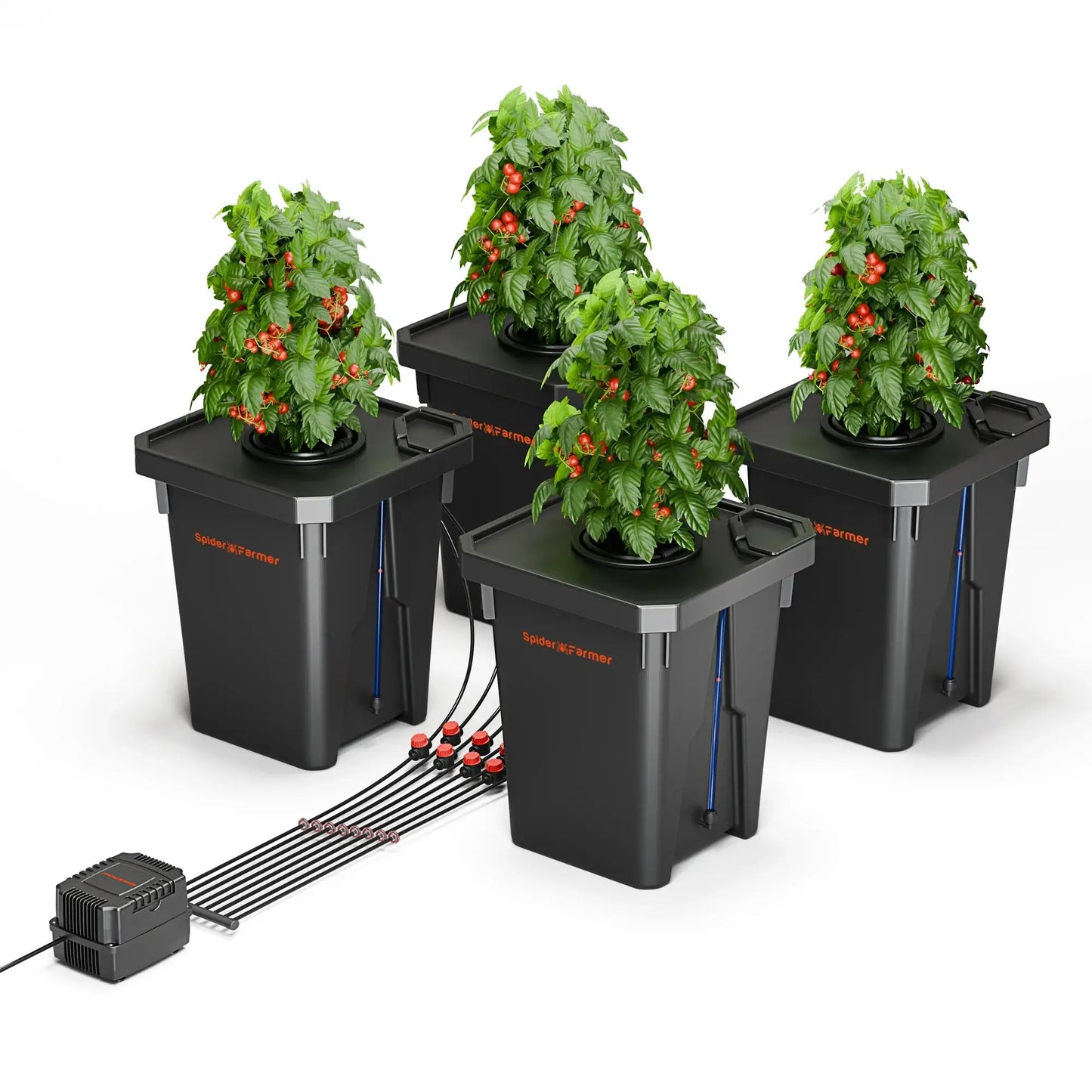 Spider Farmer hydroponics system with four 7-gallon buckets growing lush plants, featuring a top drip irrigation setup.