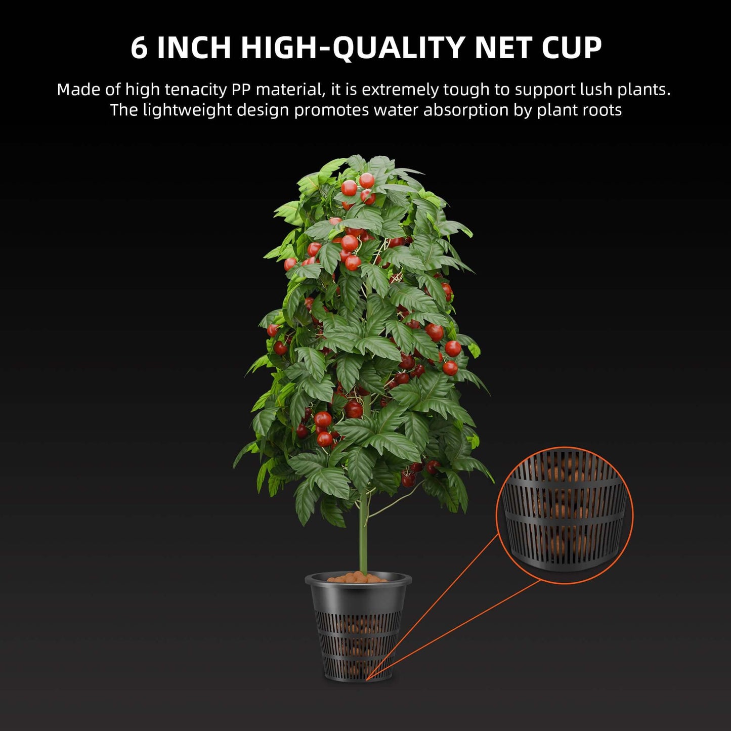 6-inch high-quality net cup designed for lush plant support and improved water absorption.