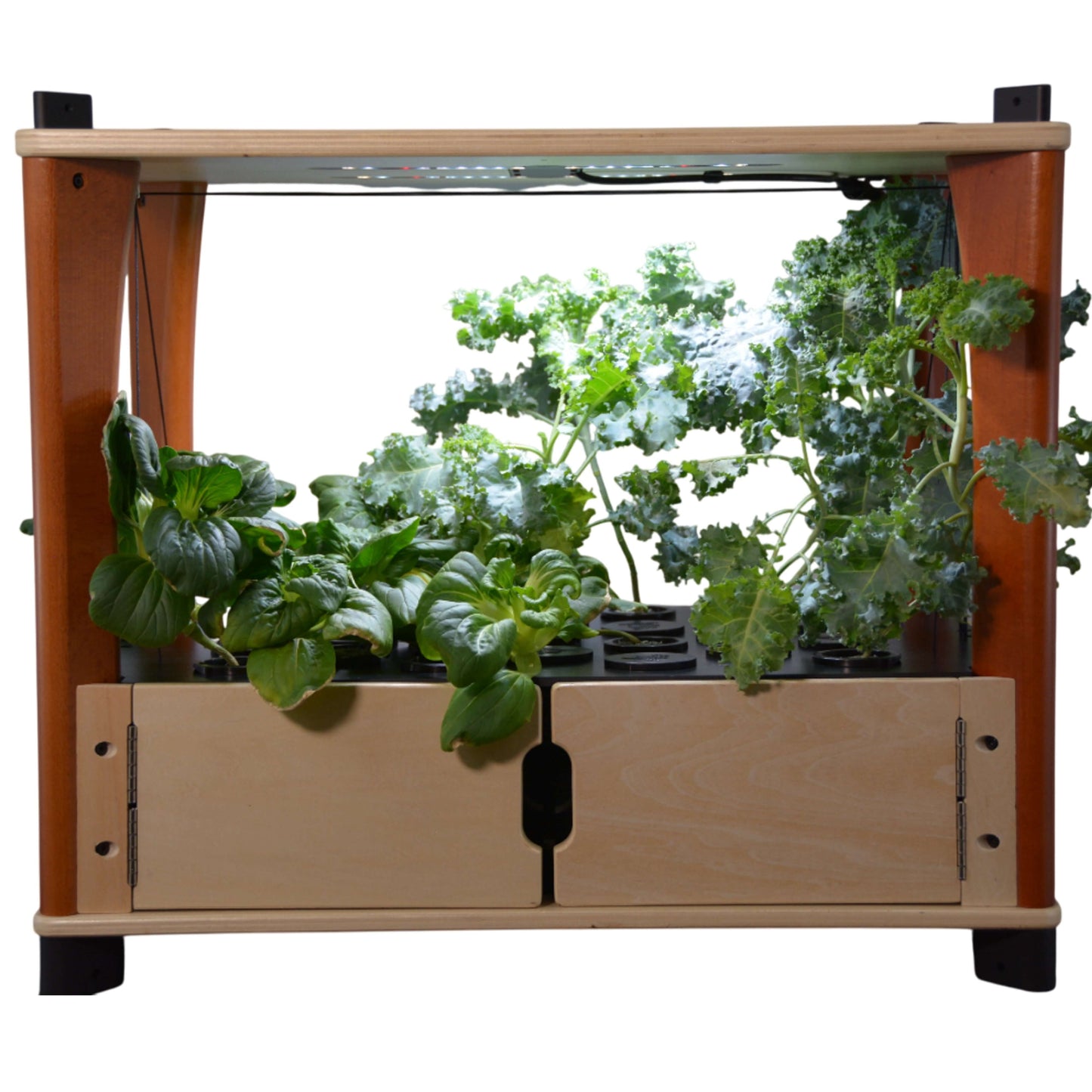 Aquager Technologies Hydroponic Home Farm