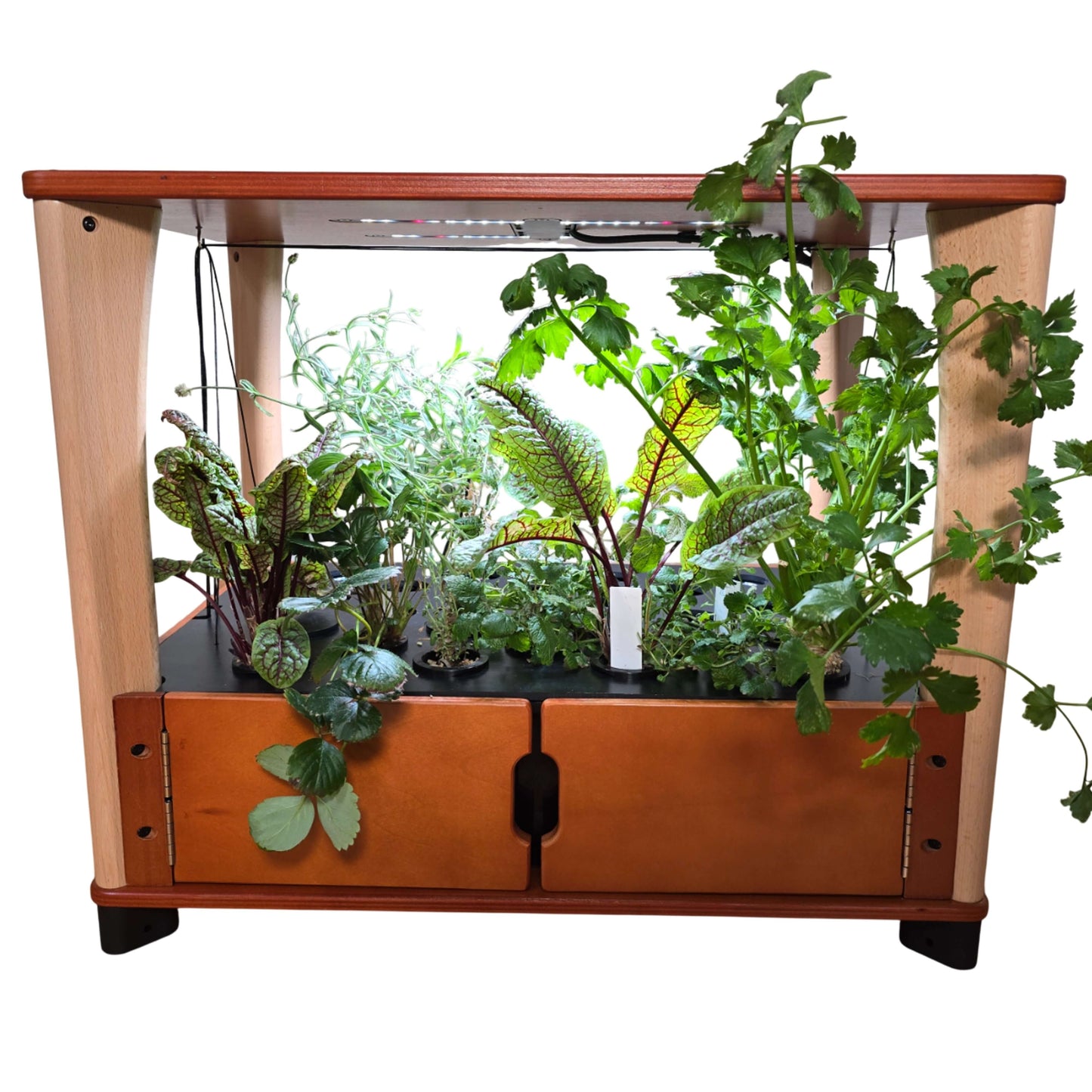 Aquager Technologies Hydroponic Home Farm