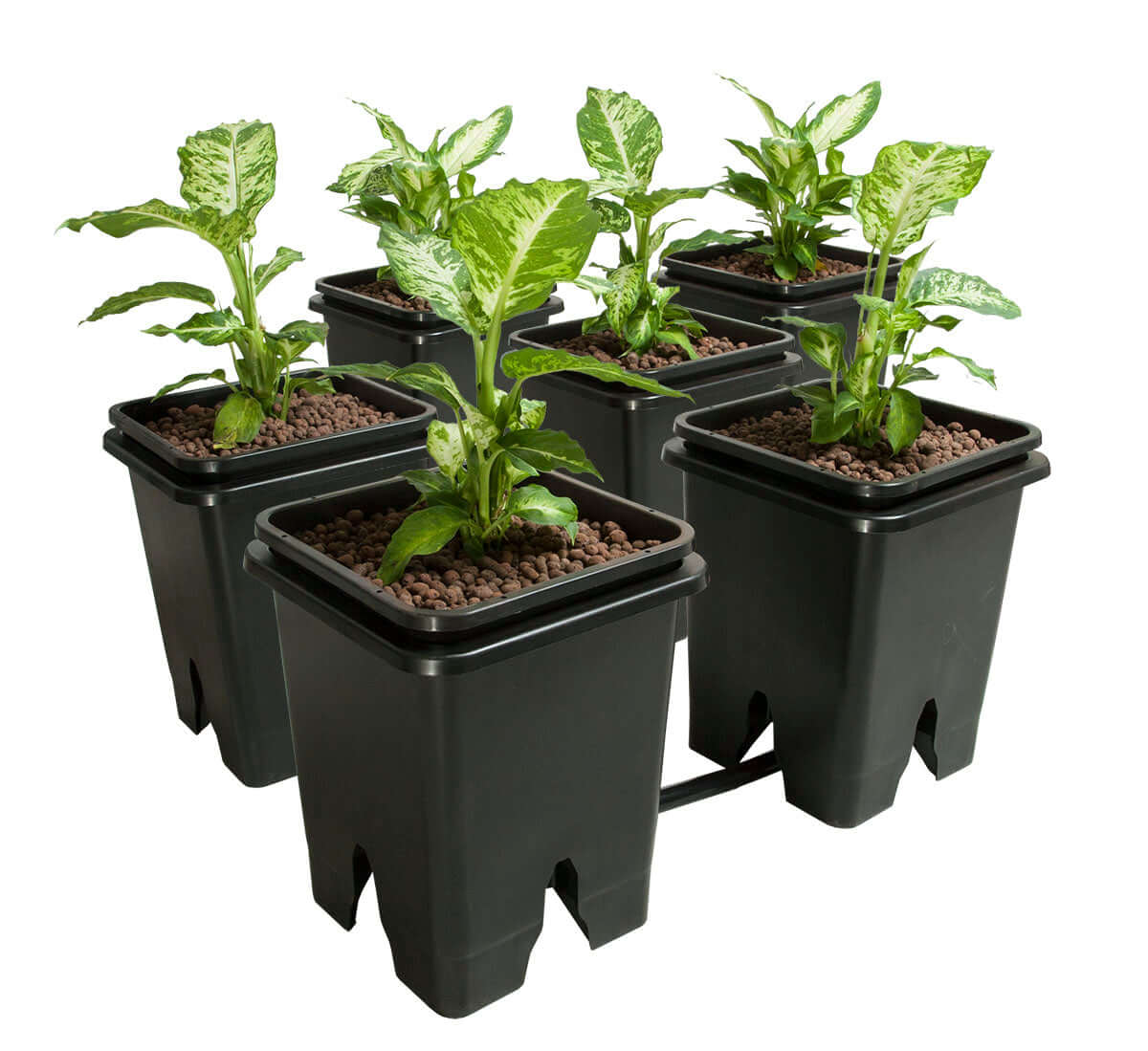 six 5-gallon square pots from Active Aqua Grow Flow Expansion Kit with leafy plants in a hydroponic setup.